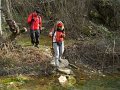 DSCN5304