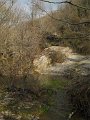 DSCN5307