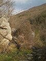 DSCN5312