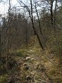 DSCN5313