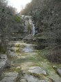 DSCN5319