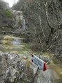 DSCN5323