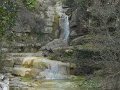 DSCN5327