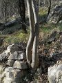 DSCN5338