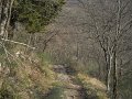 DSCN5355