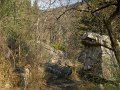 DSCN5357
