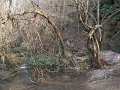 DSCN5362