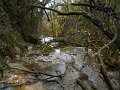 DSCN5367