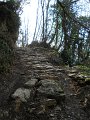 DSCN5372