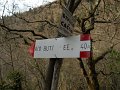 DSCN5376