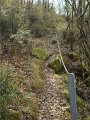 DSCN5390