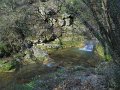 DSCN5397