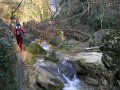 DSCN5429