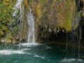 DSCN5441