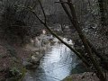 DSCN5449