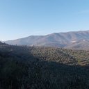 DSCN3145