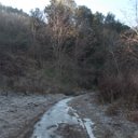 DSCN3152