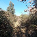 DSCN3160