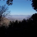 DSCN3164