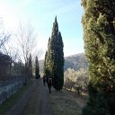 DSCN3166