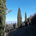 DSCN3167