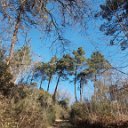 DSCN3171