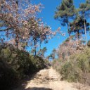 DSCN3177