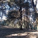 DSCN3187