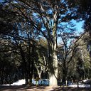 DSCN3197