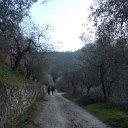 DSCN3256