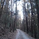 DSCN3259