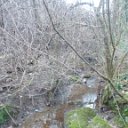DSCN3263