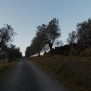DSCN3265