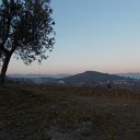 DSCN3268