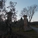 DSCN3274