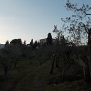 DSCN3275
