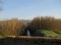 DSCN4943