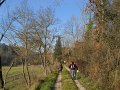 DSCN4952