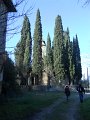 DSCN4962