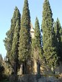 DSCN4963