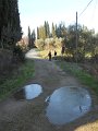DSCN4965