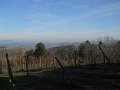 DSCN4979