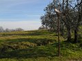 DSCN5006