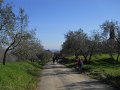 DSCN5029
