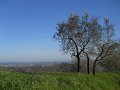 DSCN5030