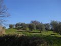 DSCN5036