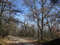 DSCN5037