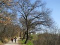 DSCN5039