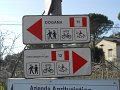 DSCN5041