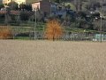 DSCN5043